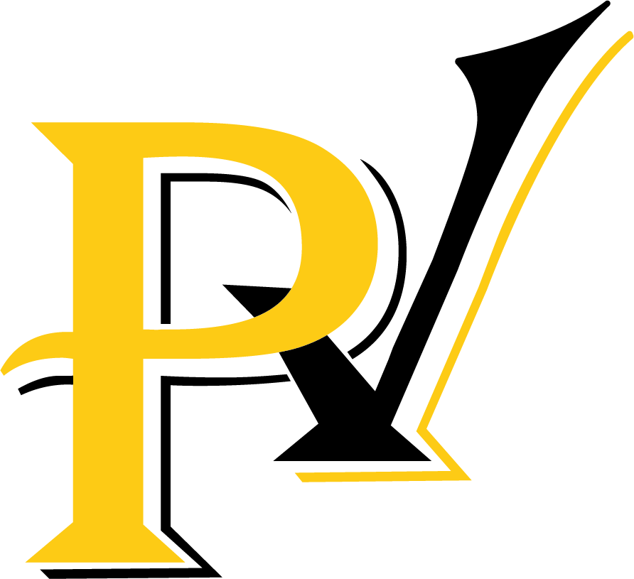 Panel Vizyon Logo